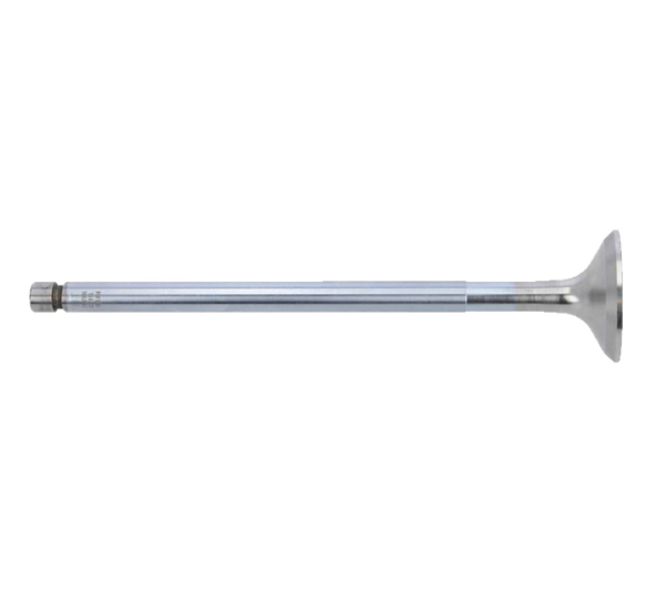 1.12551-3450537105 Exhaust Valve Mercedes OM355